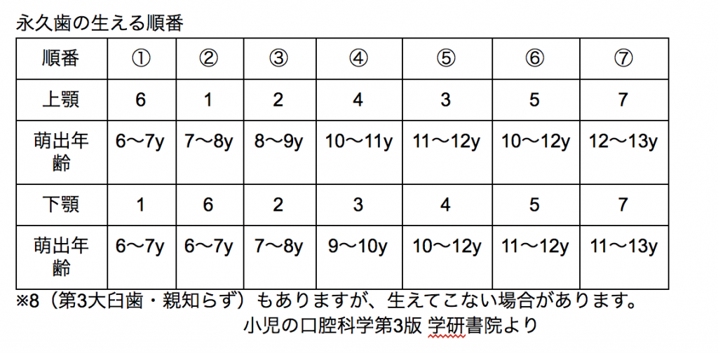 乳歯から永久歯への生え代わりについて なかもず松浦歯科医院